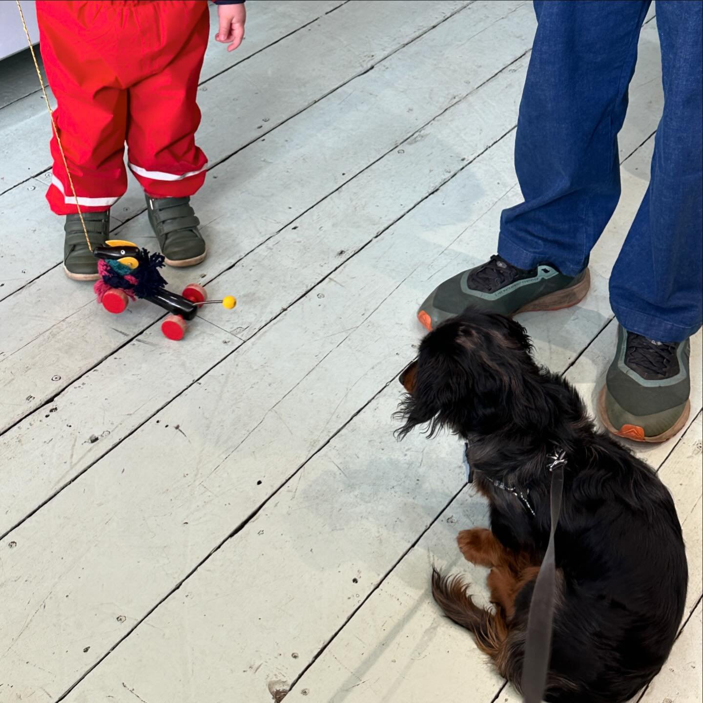 Remember my story about Winnie the toy wooden sausage dog? 💚 Humphrey met Winnie and gave our special little customer some kisses (licks) too! Anyone else&rsquo;s kids play Refill Shops? 🥰

Scroll back a reel or two for the story!