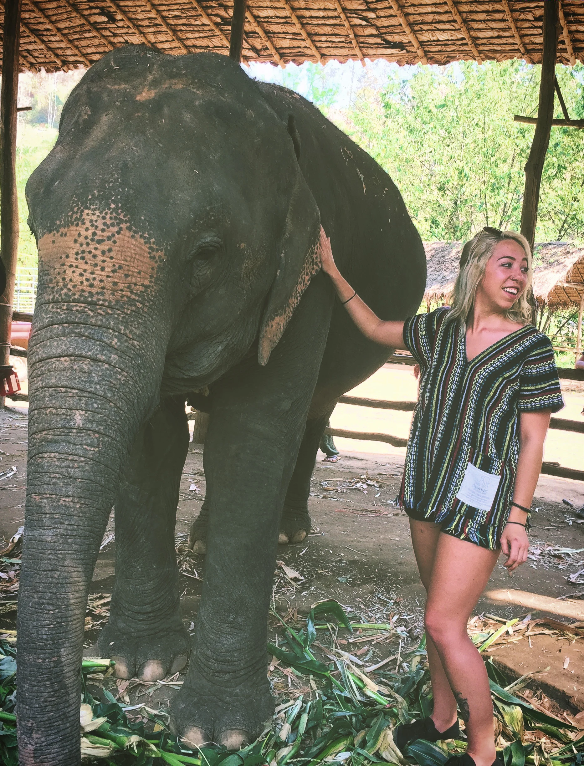 Chiang Mai: Feeling Lonely & At Home All at Once