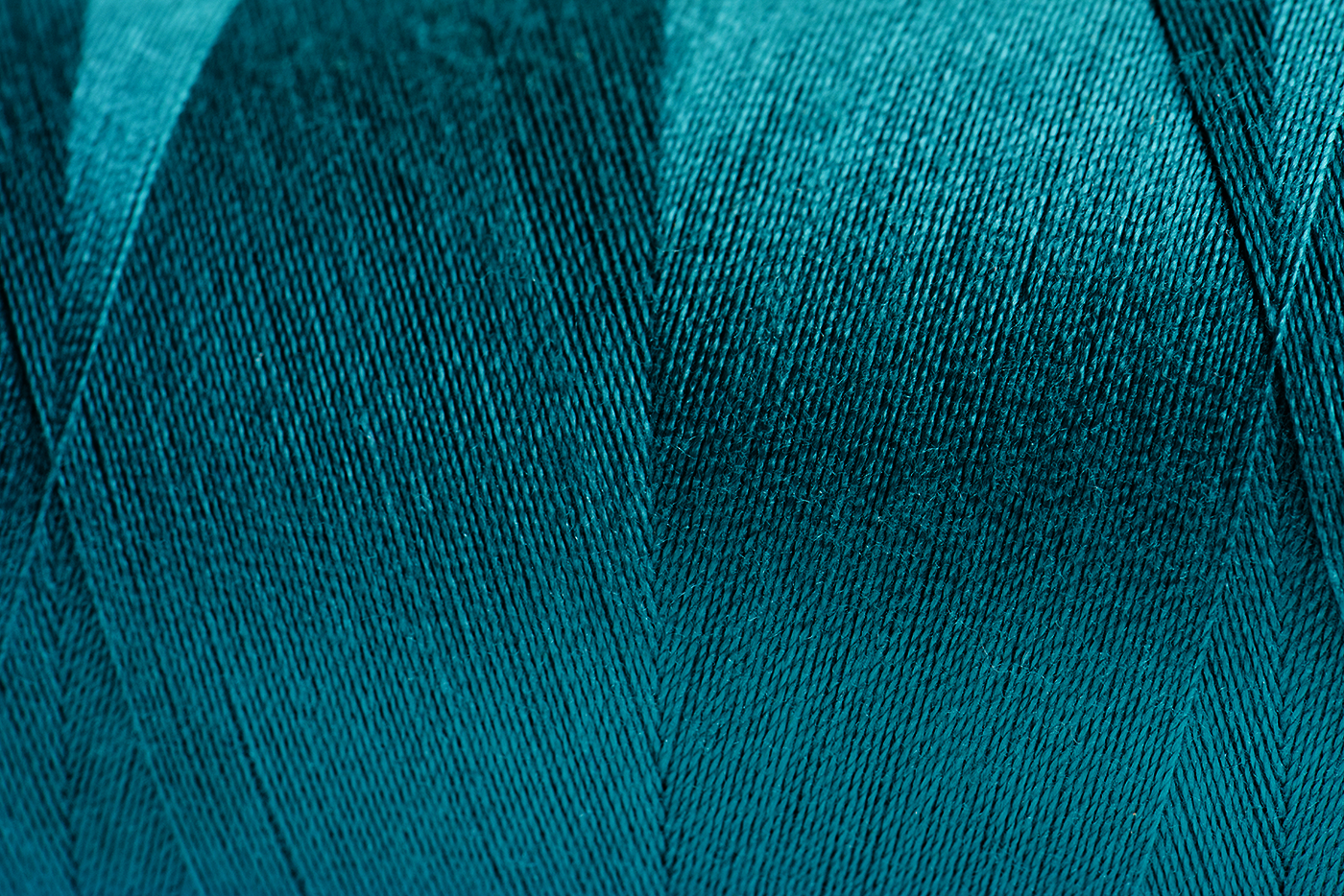 Banner-image.png
