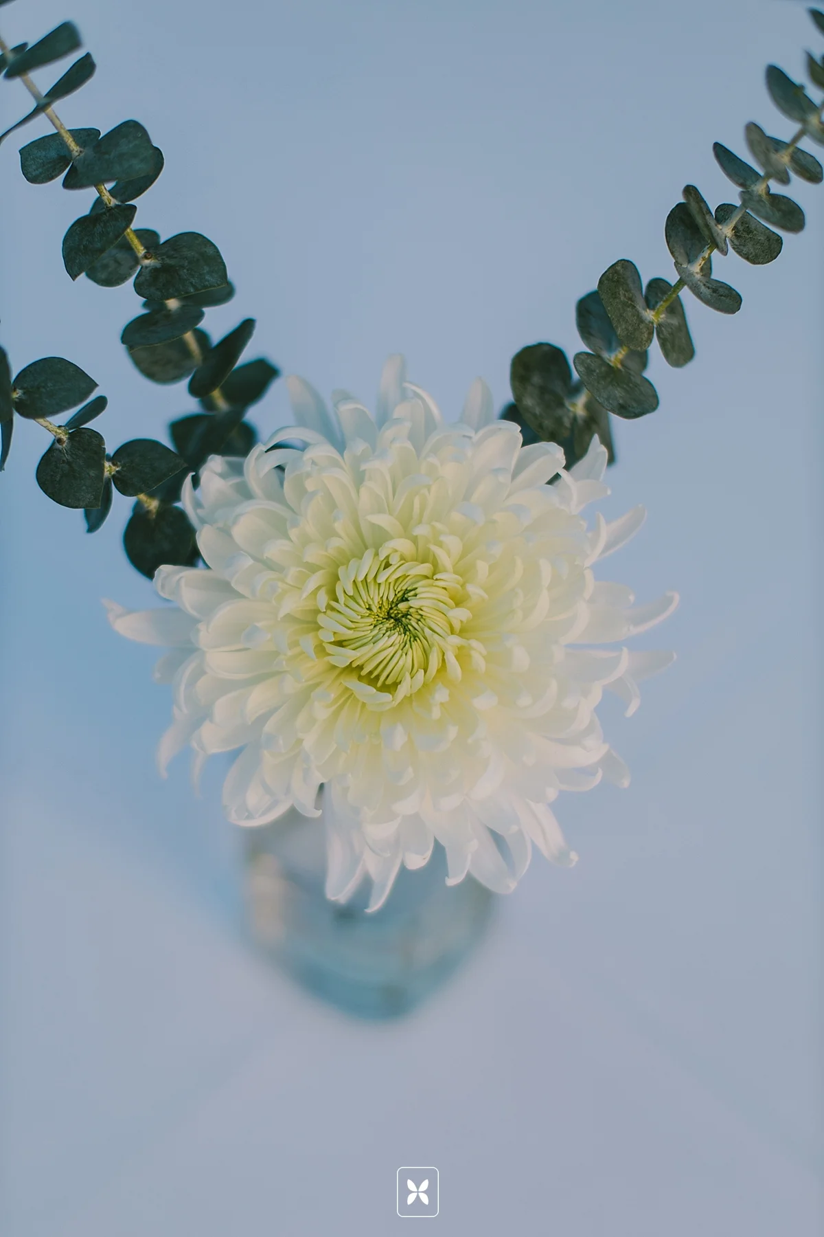 novo_studio_arkansas_wedding_photography_0061.jpg