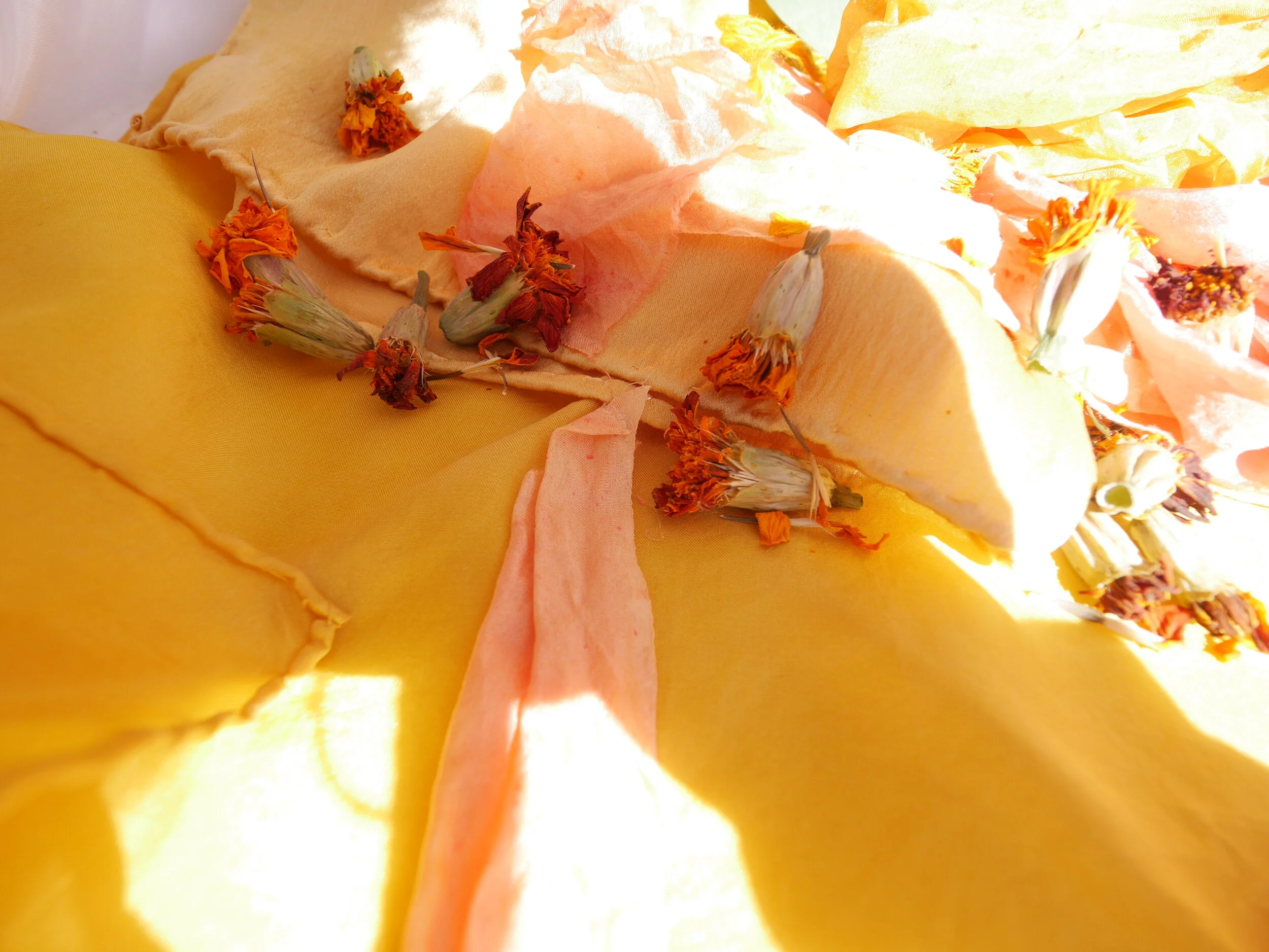 Botanical Color: Intro to Natural Dyeing