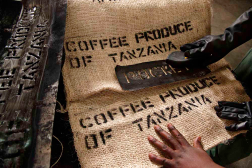 Lavazza-¡Tierra-Tanzania_22lowres5.jpg