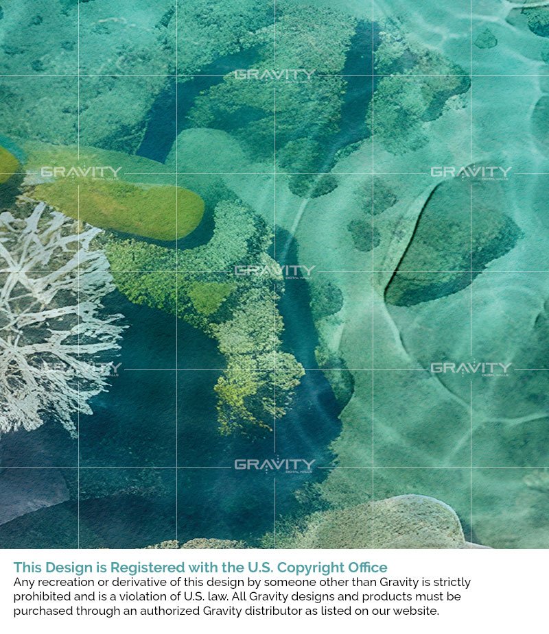 G6-14-01-Tidepool_Coral_DETAIL.jpg