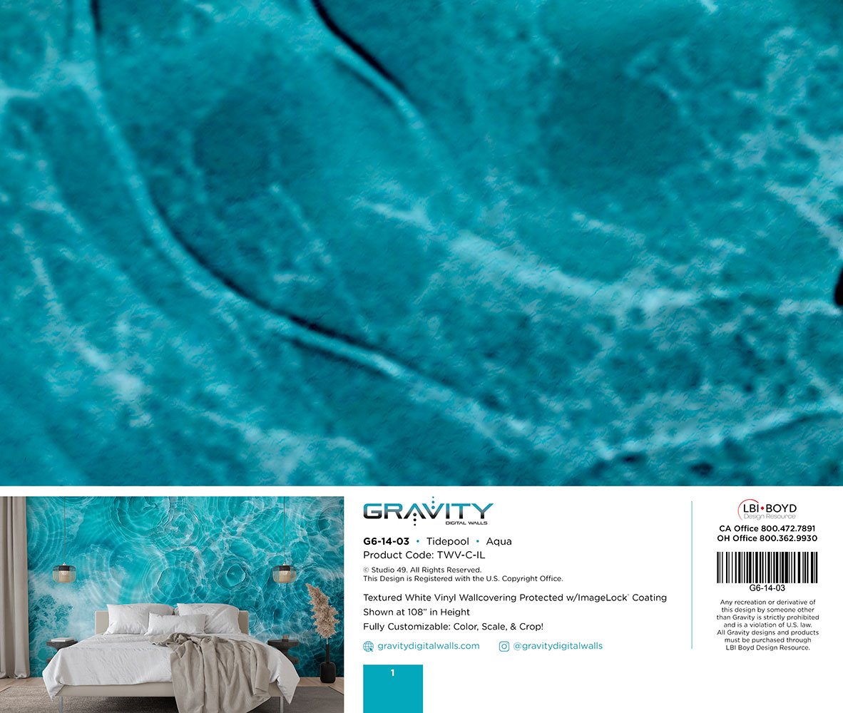 G6-14-03-Tidepool_Aqua_MEMO.jpg