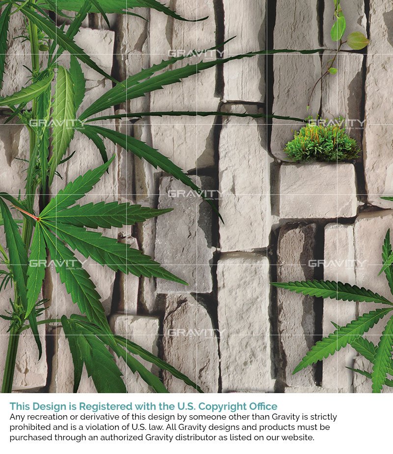 G6-02-01-Cannabis_Bleached-Stone_DETAIL.jpg