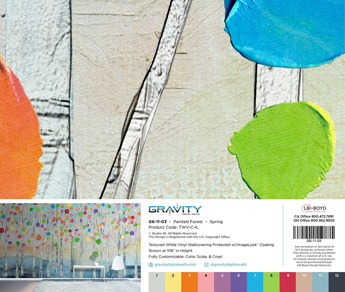 G6-11-03-Painted-Forest_Spring_MEMO.jpg
