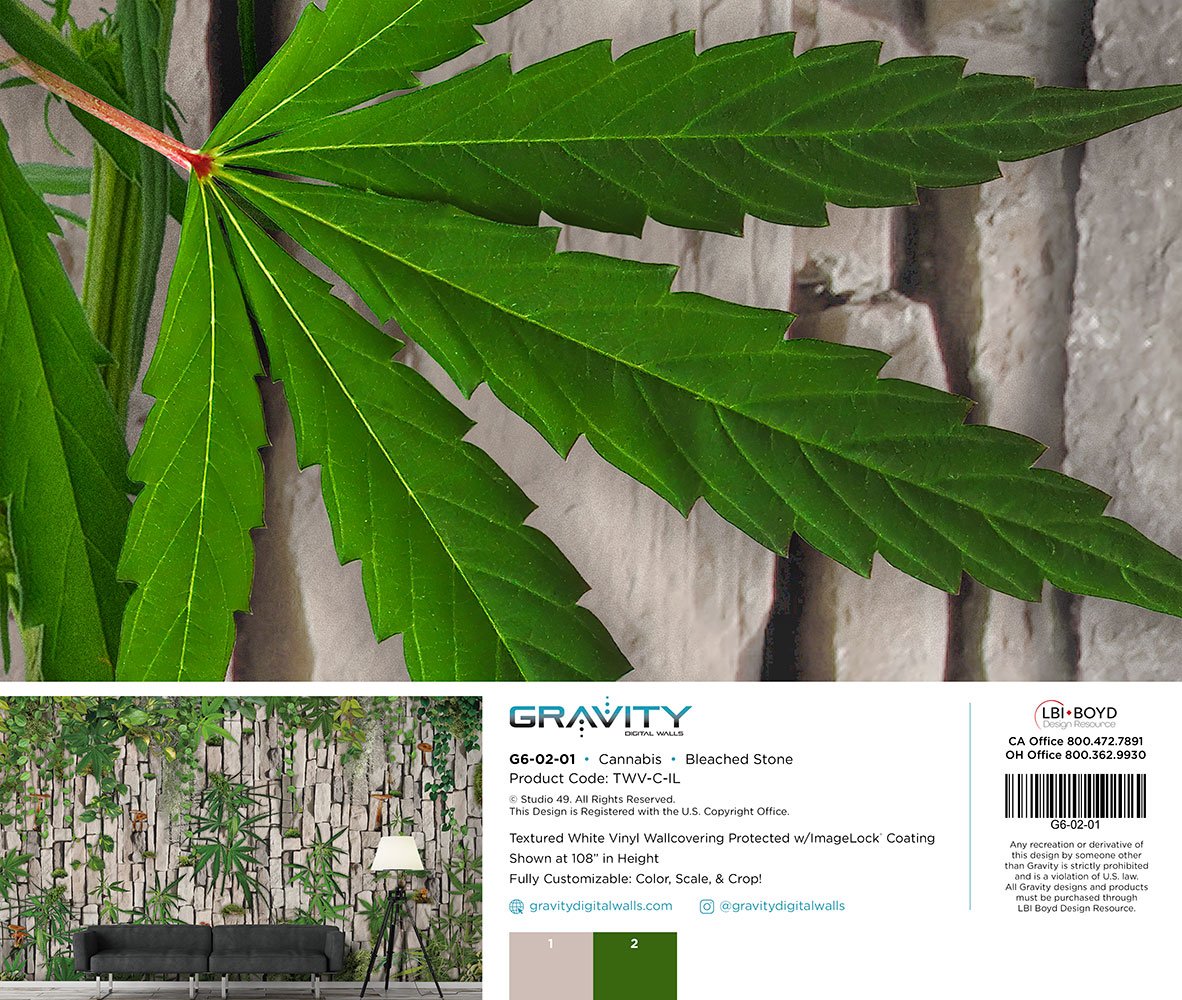G6-02-01-Cannabis_Bleached-Stone_MEMO.jpg