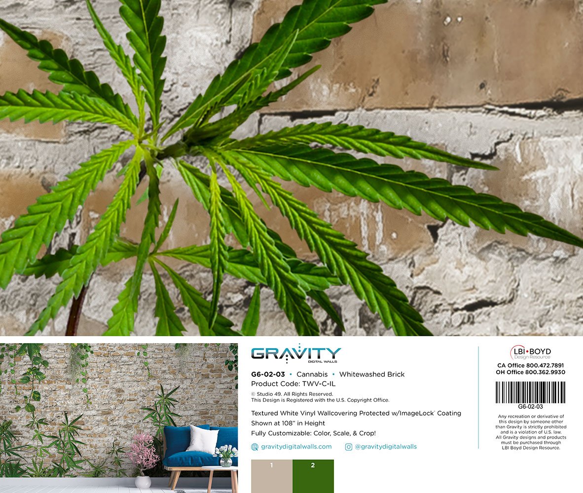 G6-02-03-Cannabis_Whitewashed-Brick_MEMO.jpg