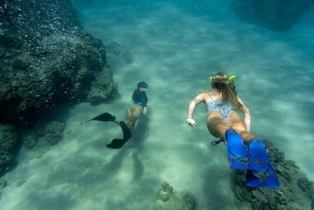 Ultimate Guide to Cave Diving and Cenotes in Tulum