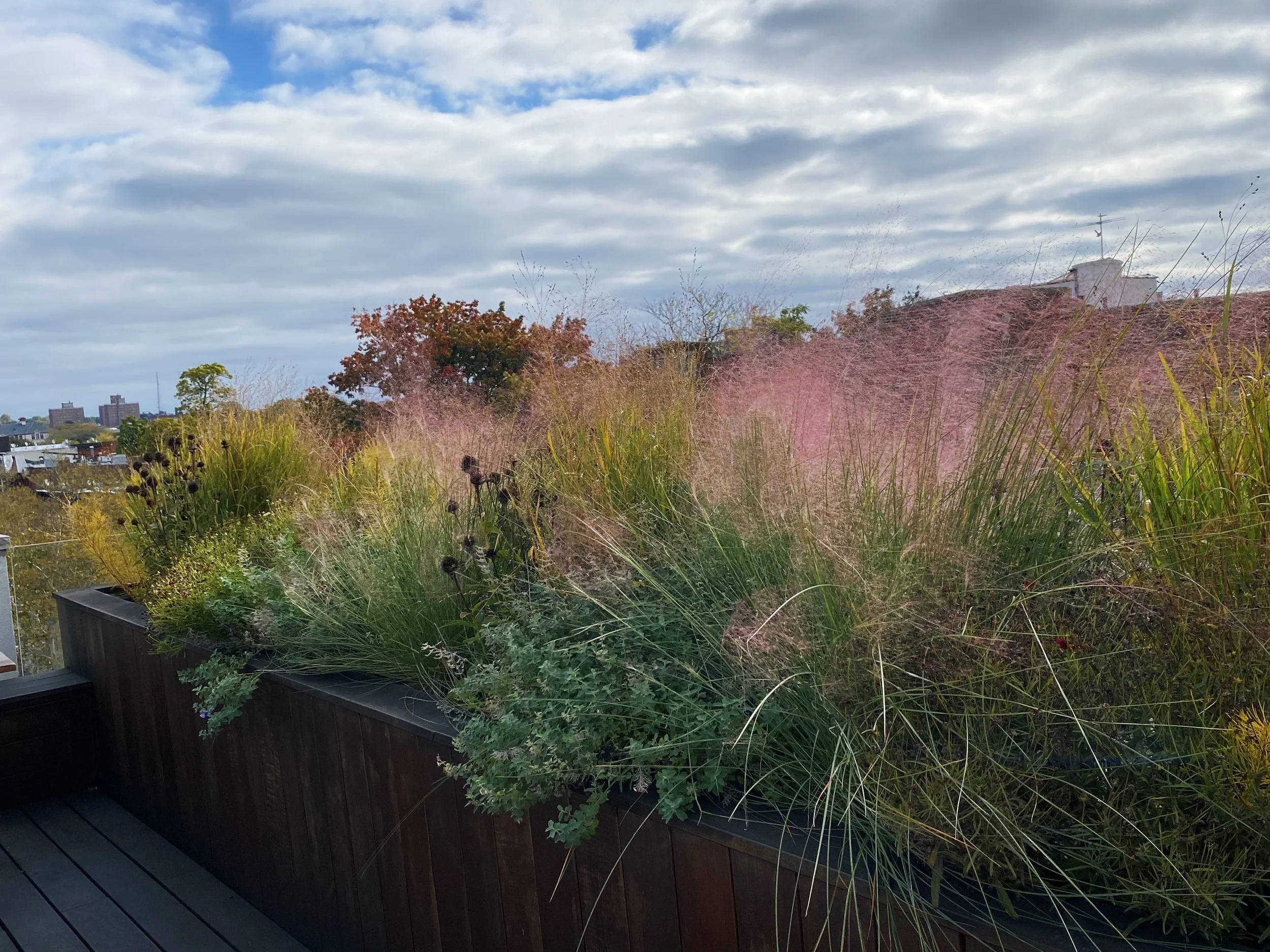 OUTDOOR — DIRT QUEEN NYC