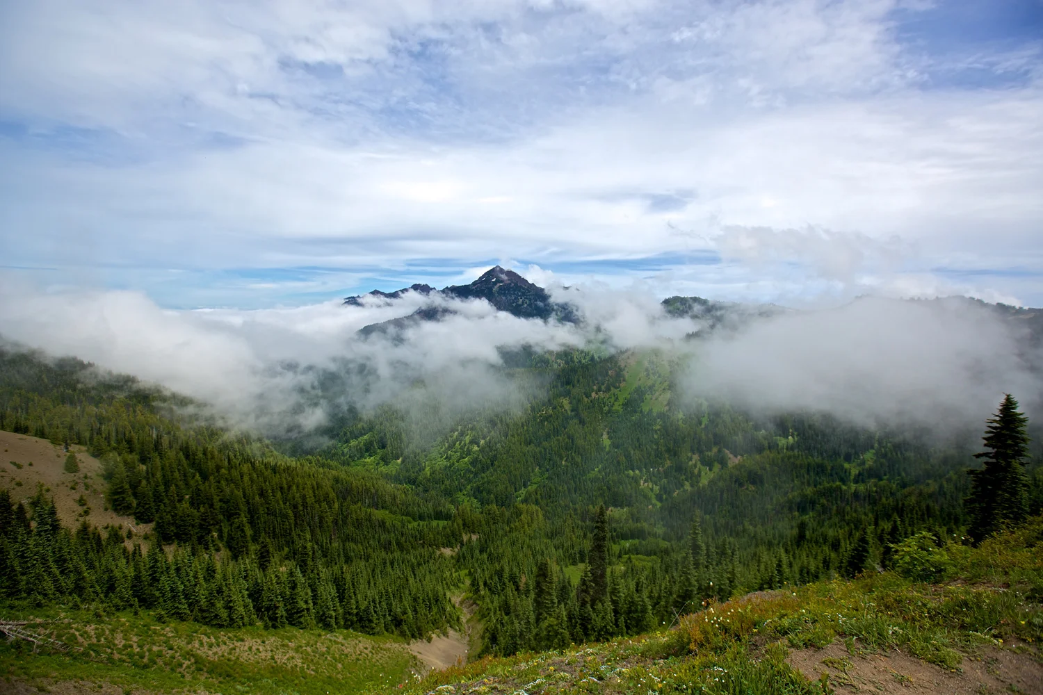 olympicnp.jpg