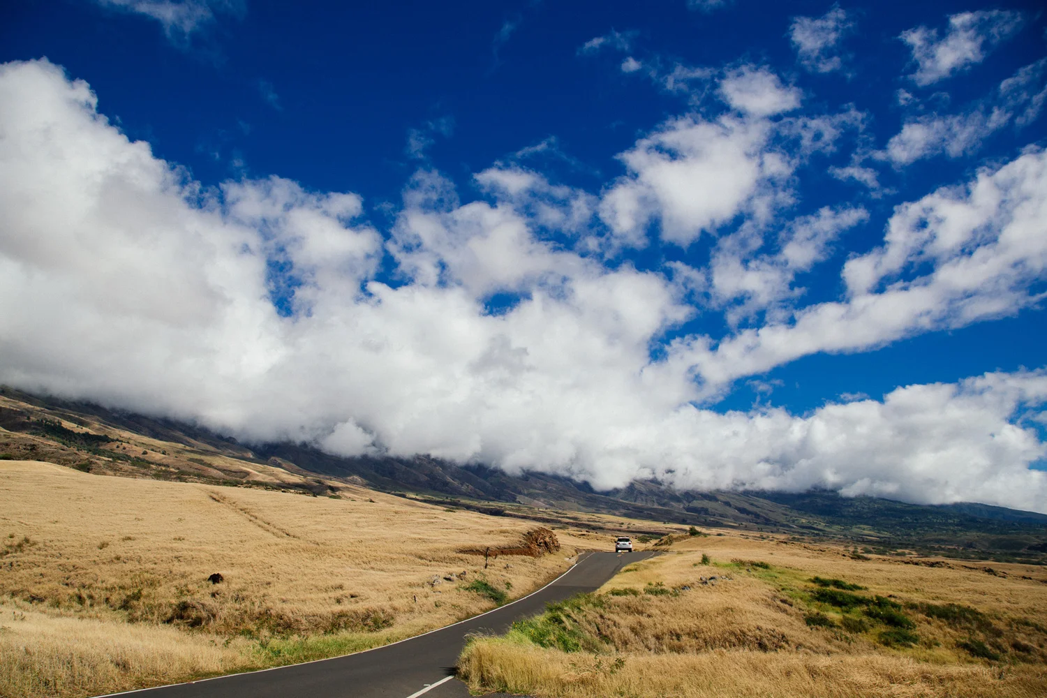 bigislandsouthpoint.jpg