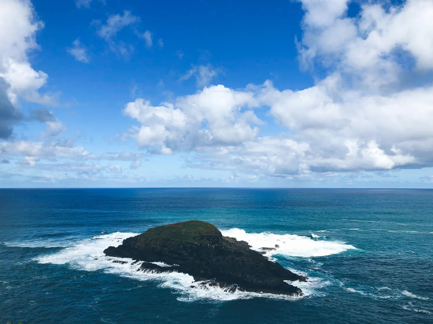 birdssanctuarykauai.jpg