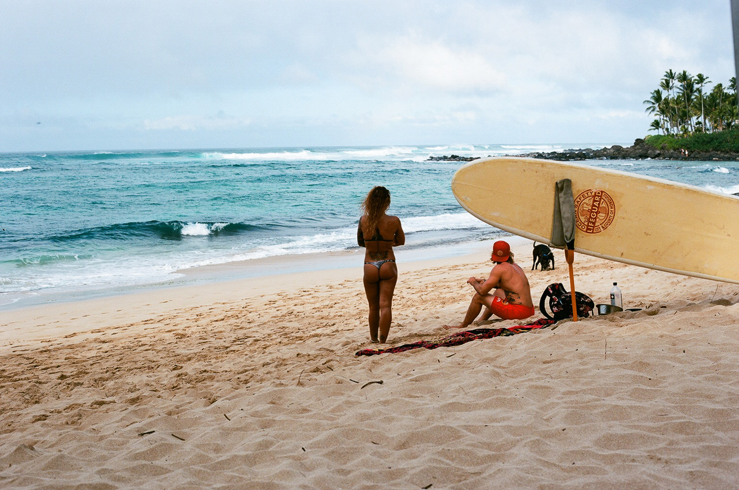 honolulubeachlifeguard.jpg