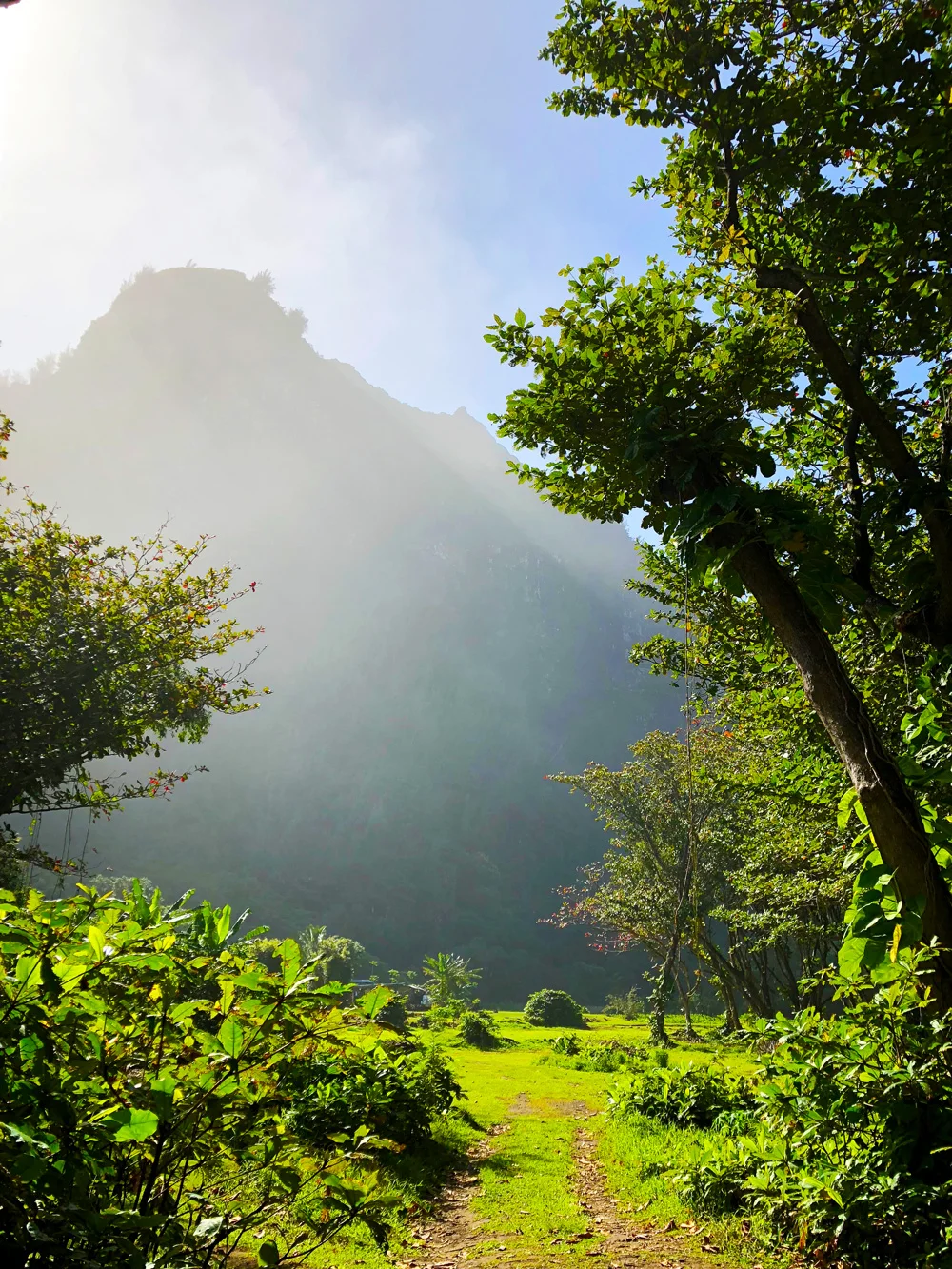 kauainorthshore.jpg
