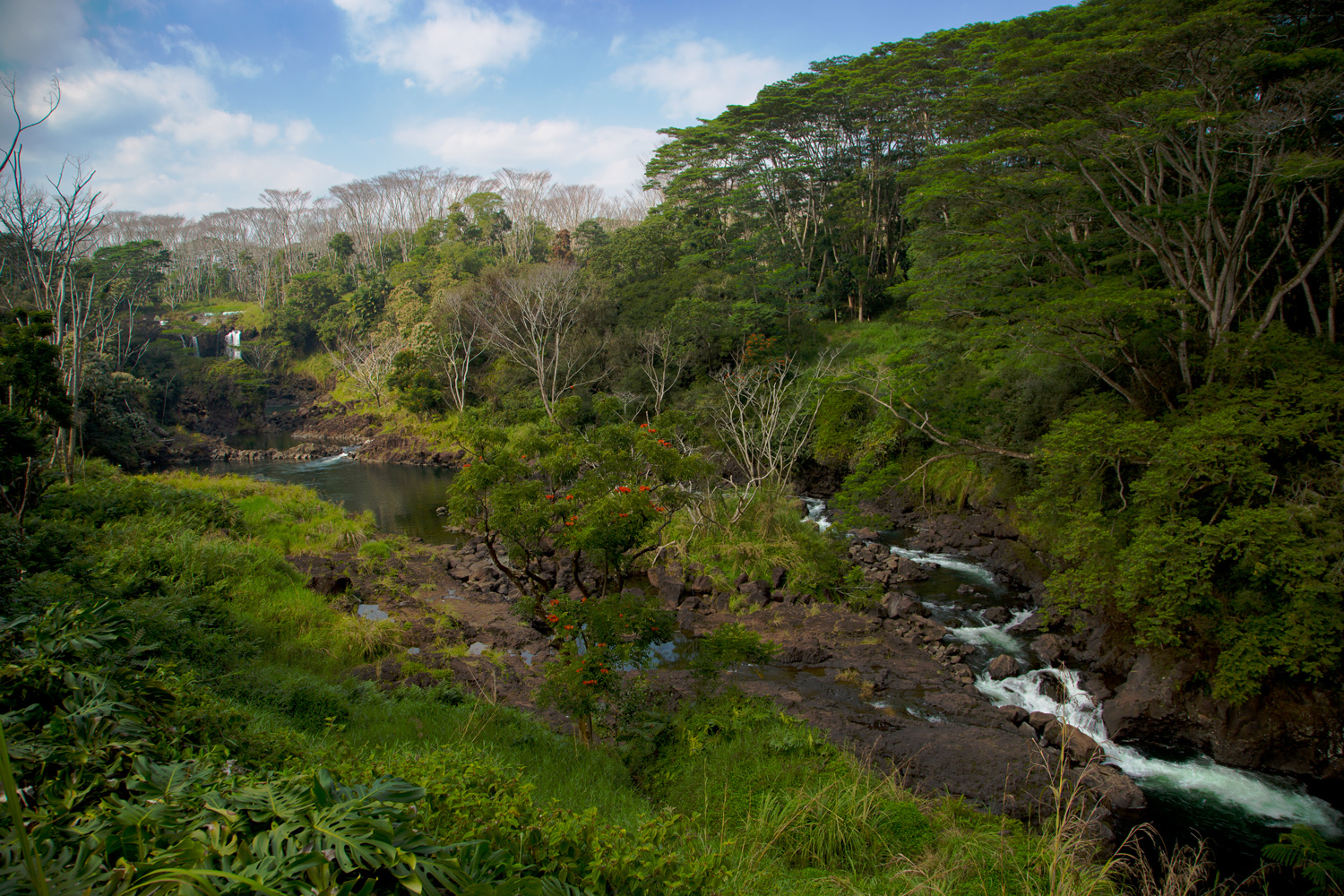 mauiwaterfall.jpg