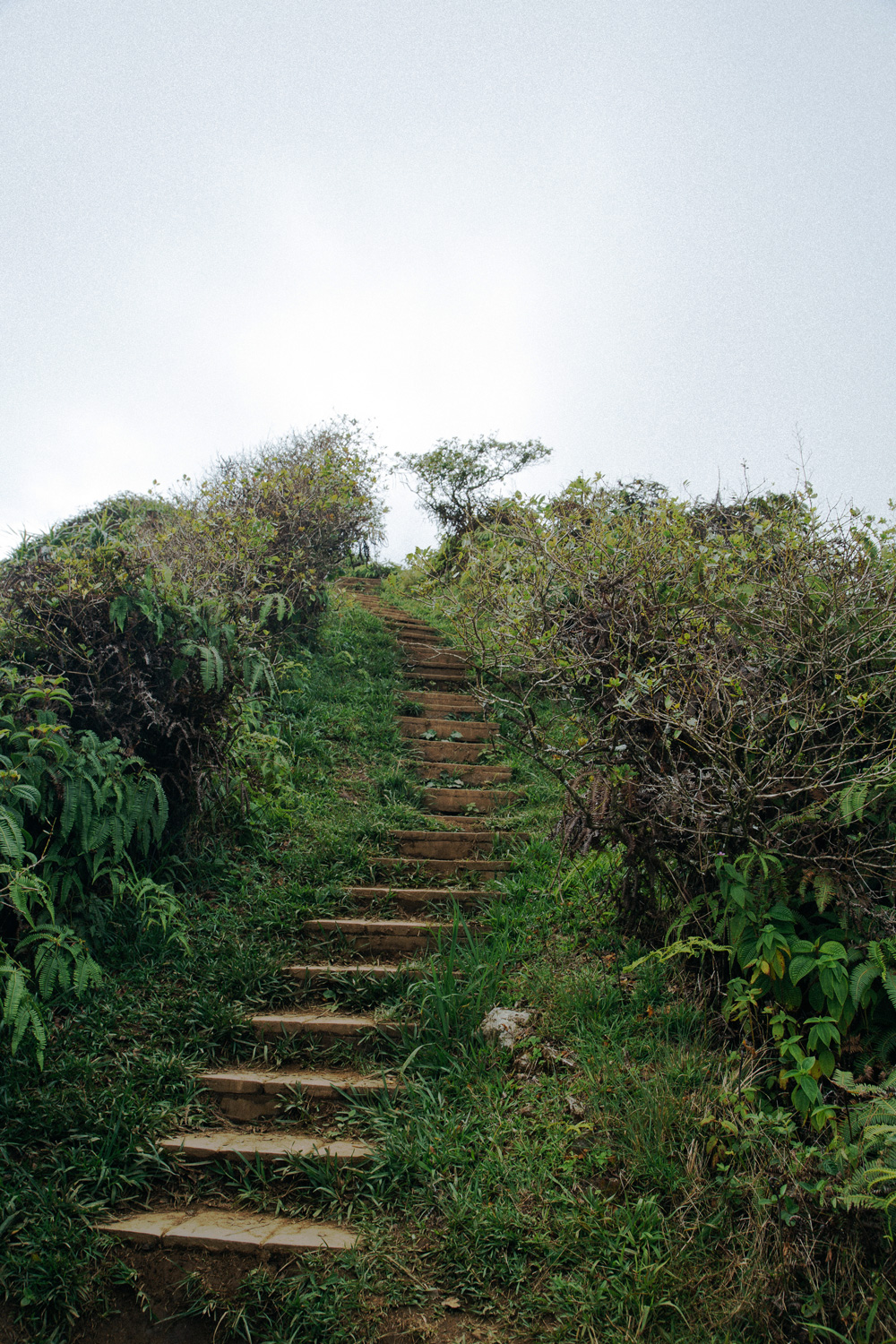 stairwaytoheaven.jpg