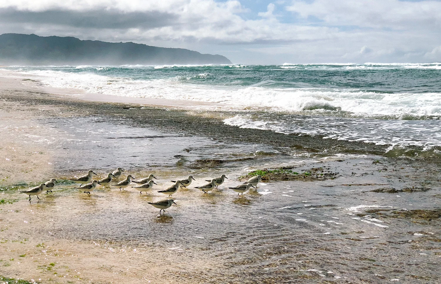 oahucoast.jpg