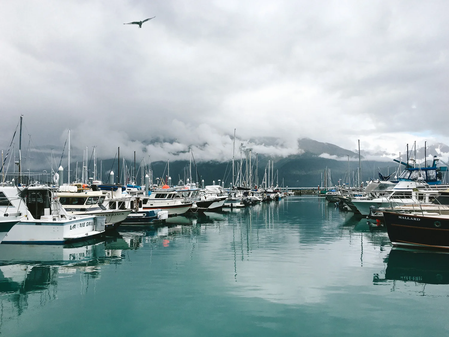 sewardmarinaalaska.jpg