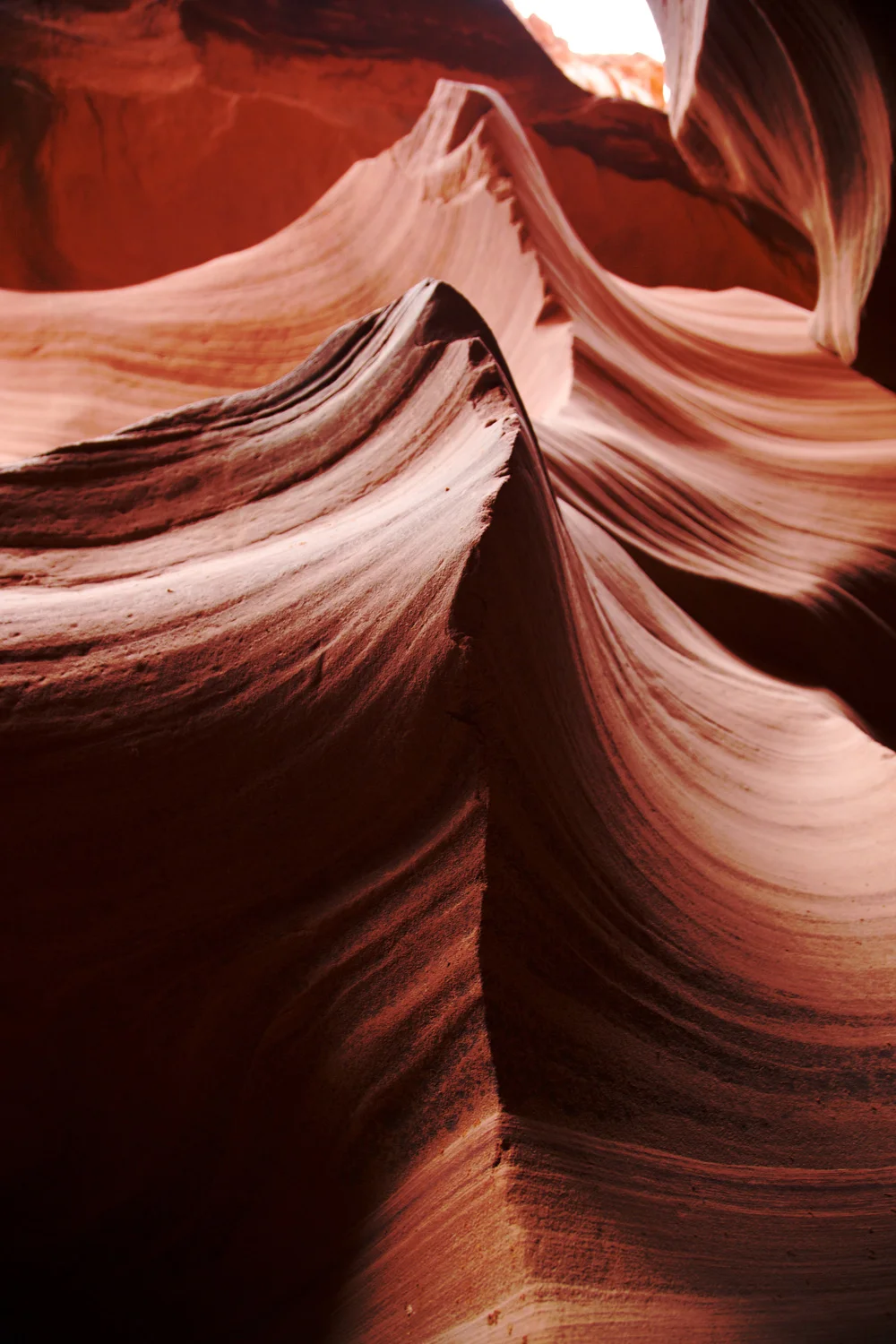antelopecanyonwalls1.jpg