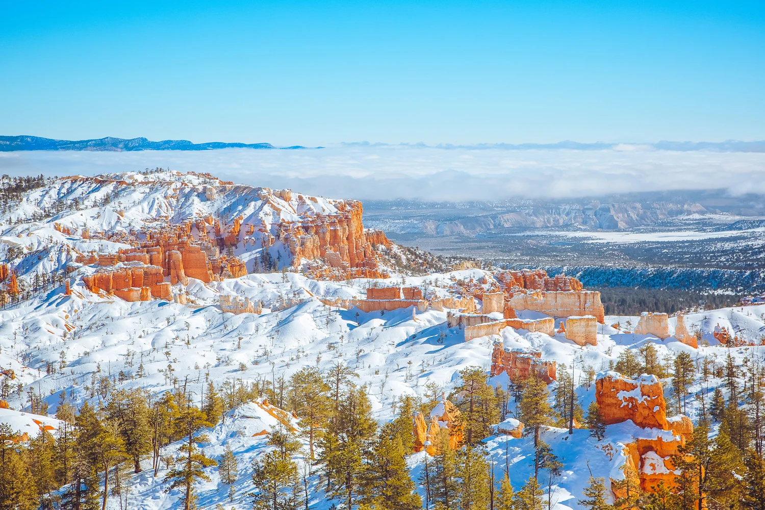 brycecanyonoverlook.jpg
