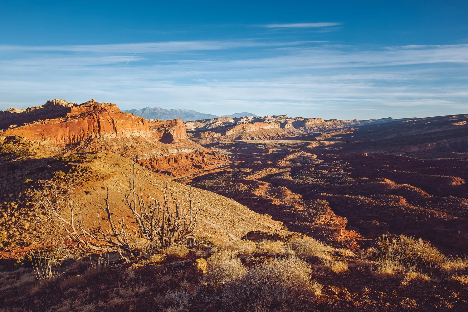 canyonlandsvalley.jpg