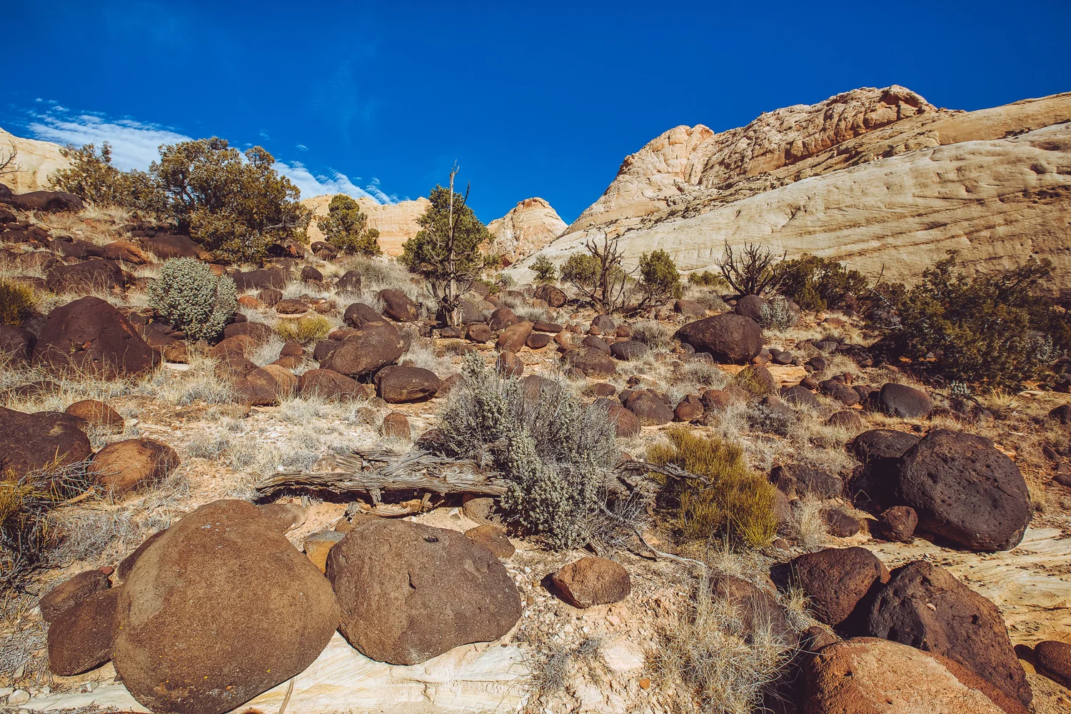 canyonlandsstones.jpg