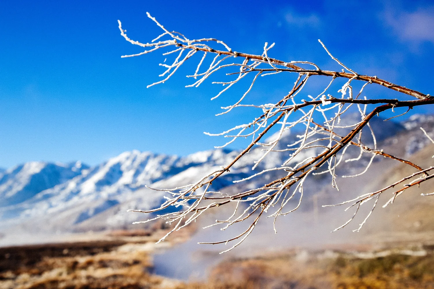 nevadadavidwalley5.jpg