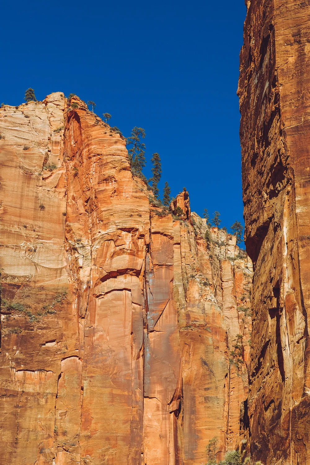 zion.jpg