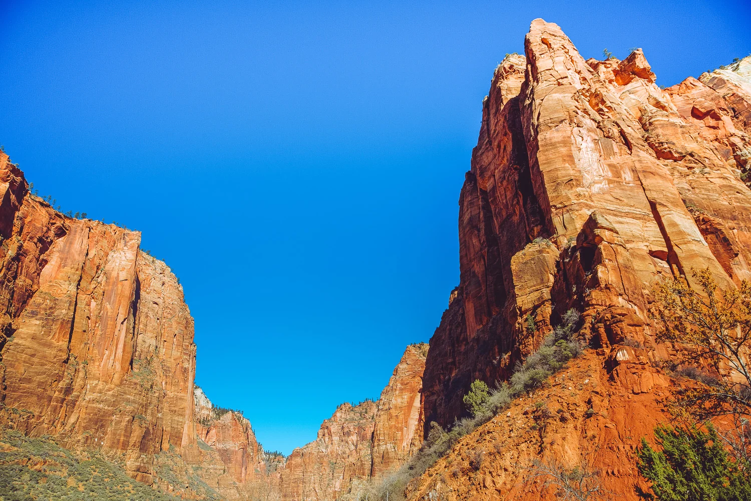 zionnationalpark.jpg