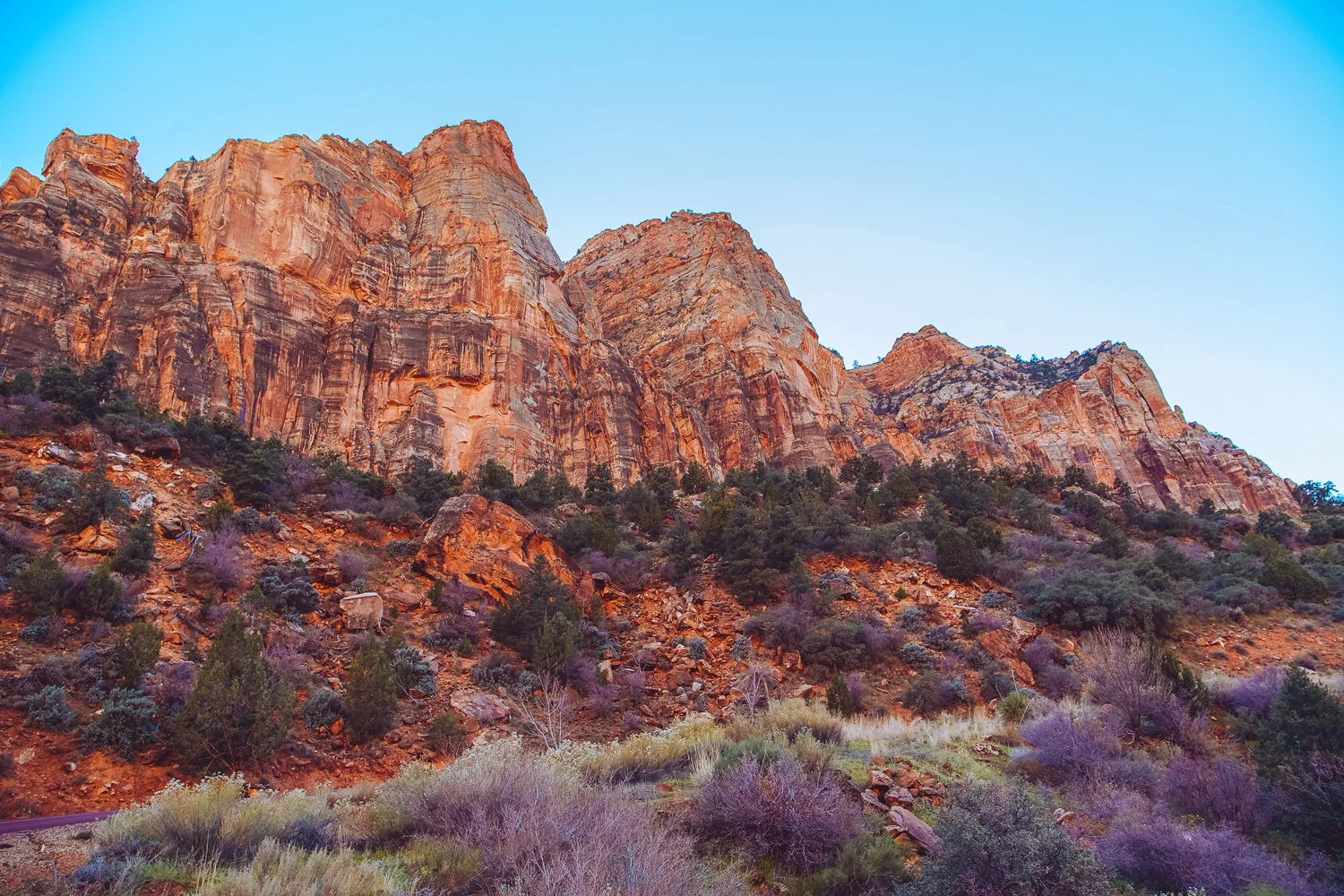 zionnatpark.jpg