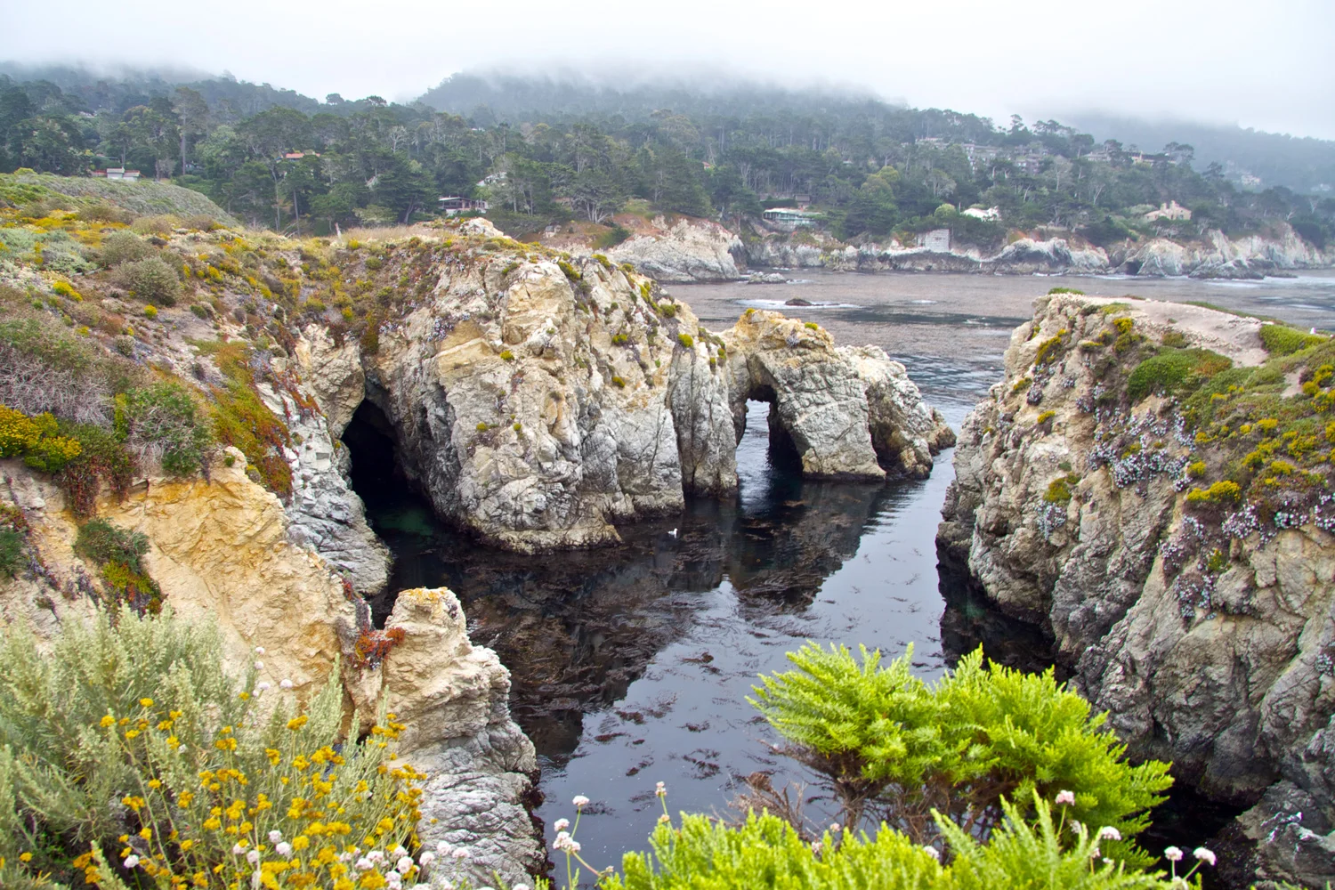 pointlobos.jpg