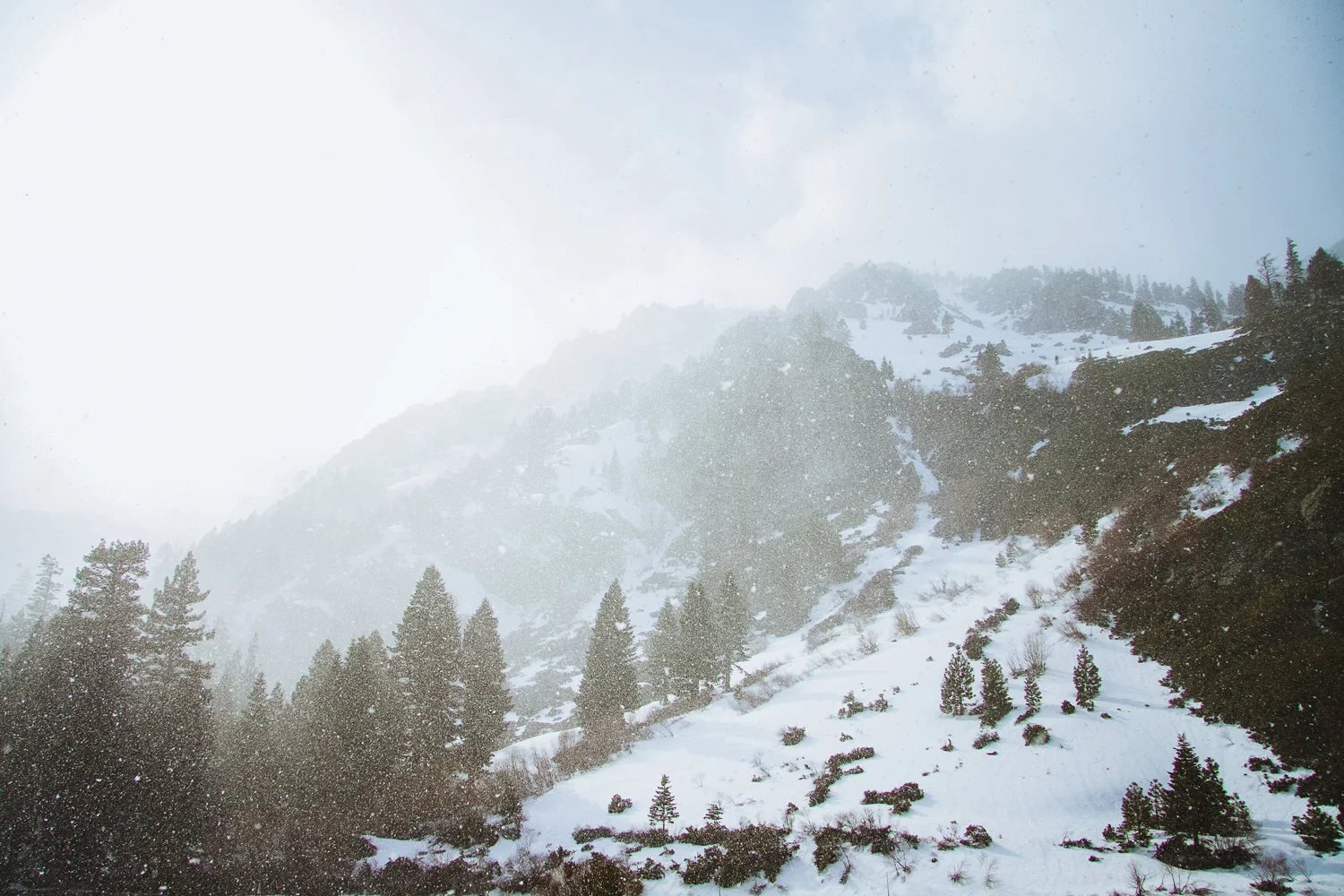 snowfalltahoe.jpg