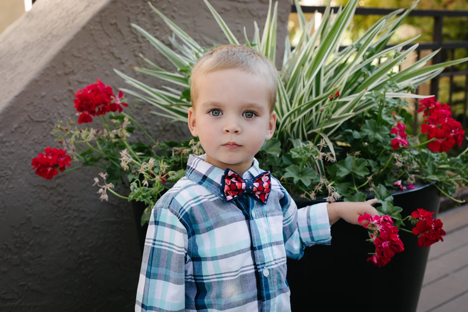 boywithbowtie.jpg