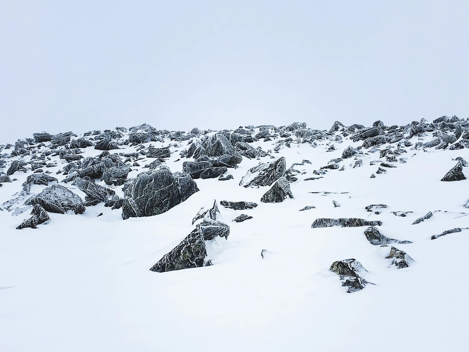 whistlermountain1.jpg