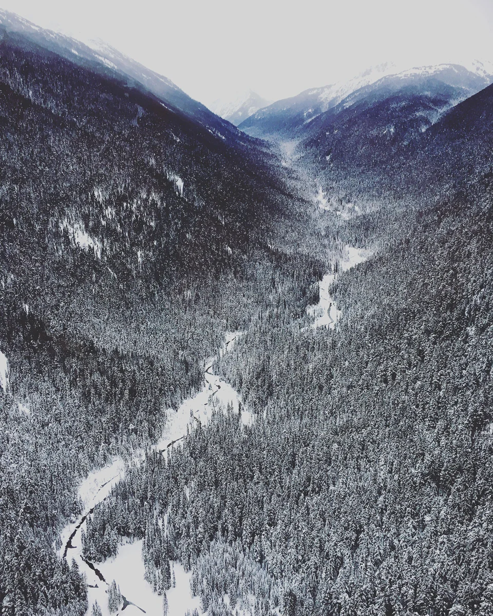 whistlermountains.jpg