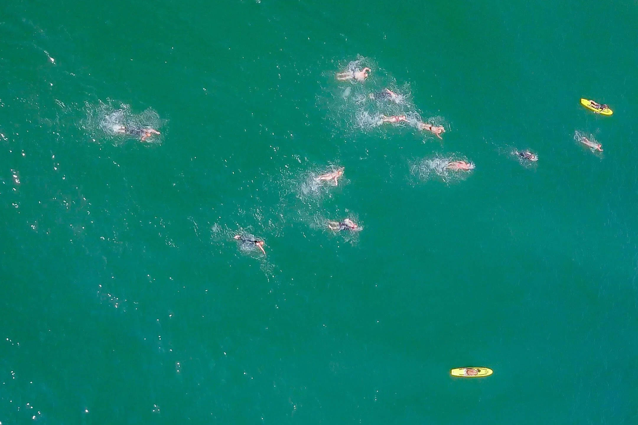 Ocean Games Open Water Swim Competition 2019 (7)