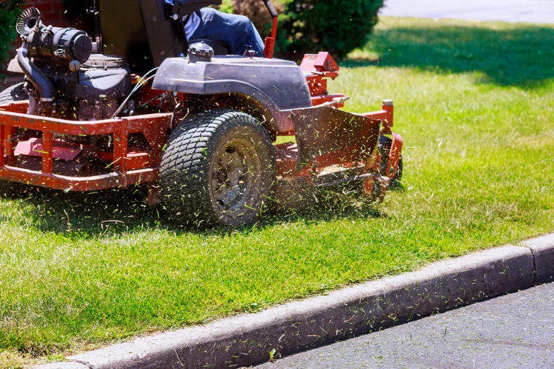 Lawn & Yard Maintenance — Vie Plant & Garden Design
