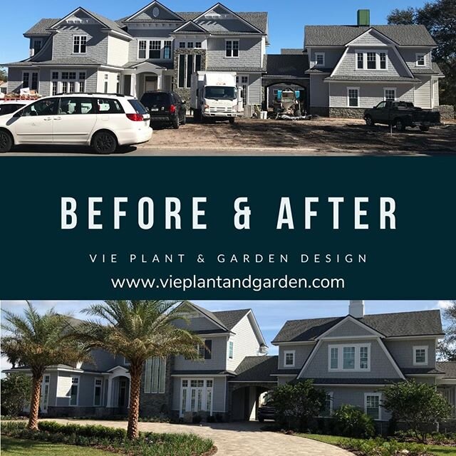 New construction before and after! What a difference!

#newconstruction #landscapedesign #jacksonvillebeach