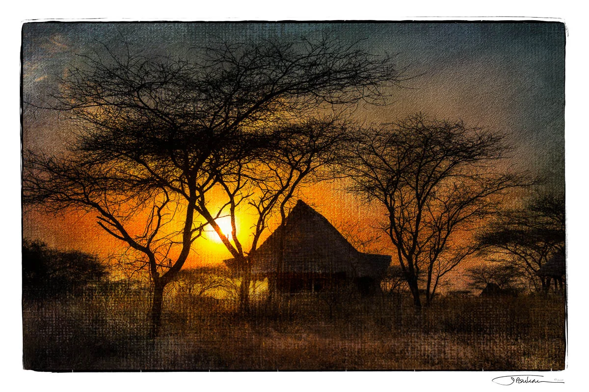 Africa1_16x24.jpg