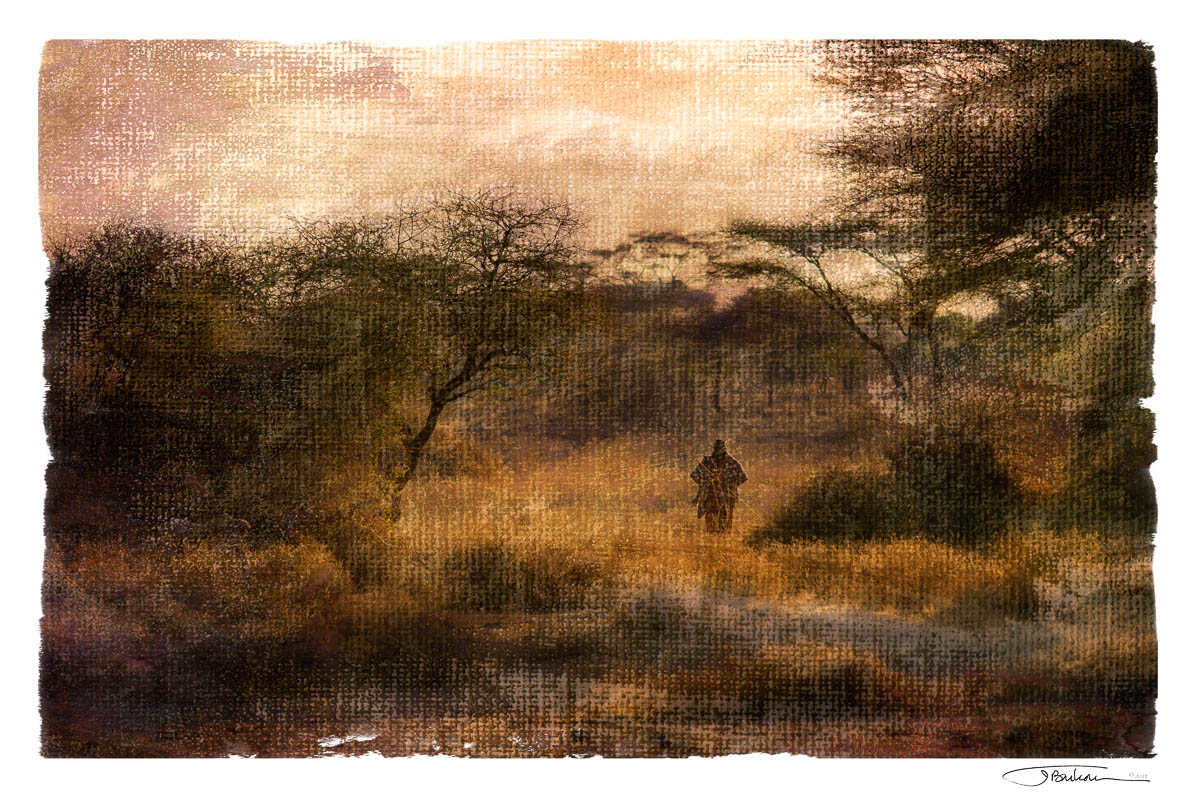 Arfica2_16x24.jpg