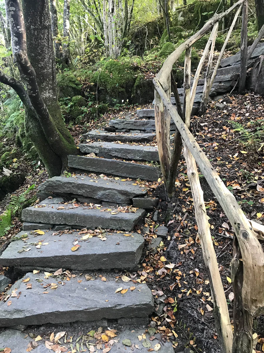 171101-1328.jpg