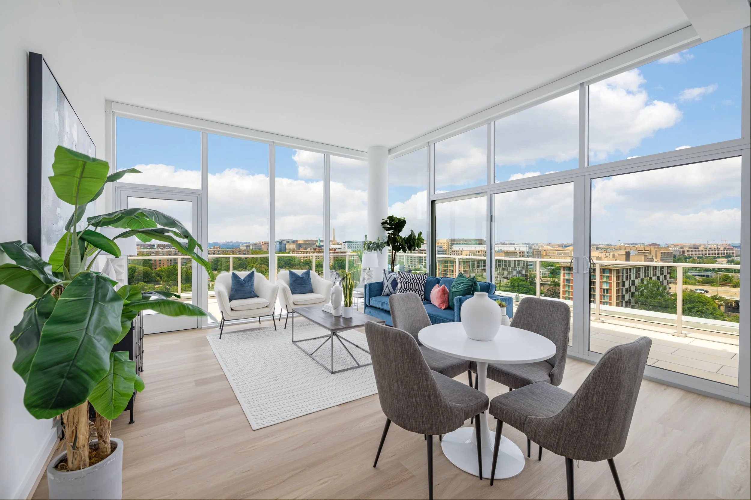 00001_64 H St SW PH1 Washington, DC 20024_Enhancements-2.jpg