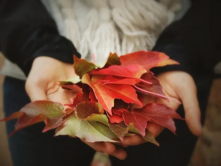 November 2018