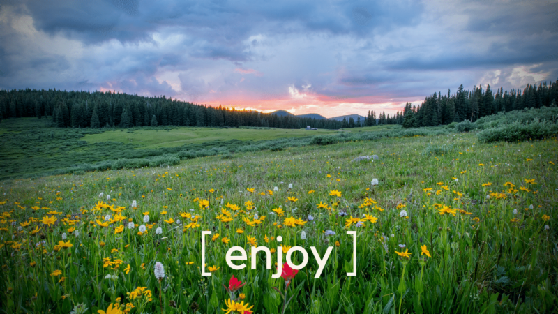 Enjoying Summer&nbsp;  |&nbsp;  words from Kate&nbsp;
