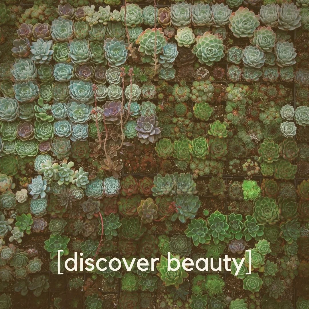 Beauty Hunting | Words From Kate