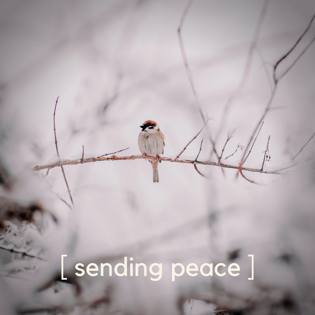 Sending Peace + A Positive Charge | words from Kate