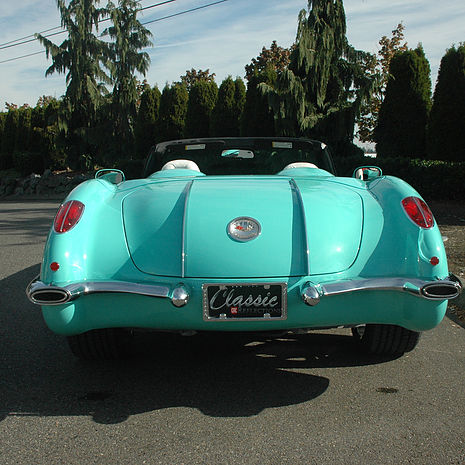 turquoise rear end.jpg