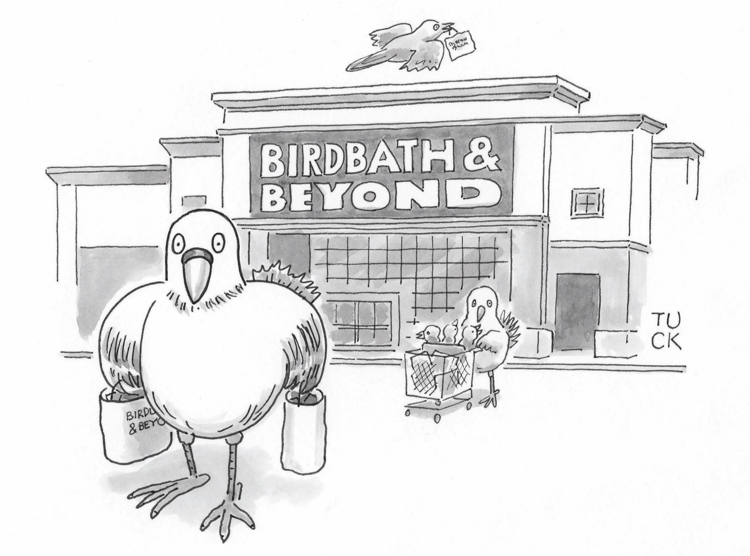 Birdbath & Beyond.jpg