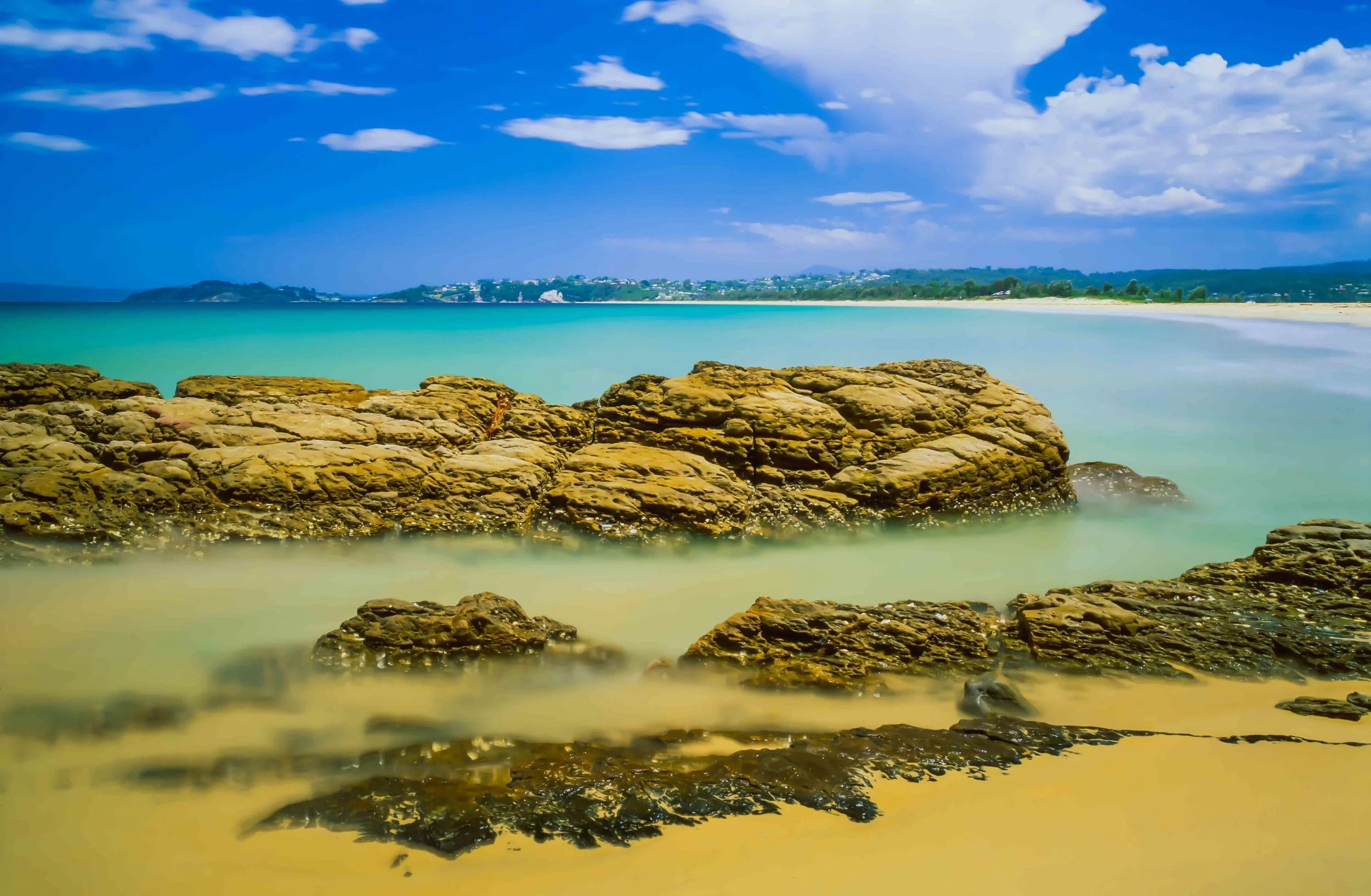 Colours of Summer (Aslings Beach Eden NSW)